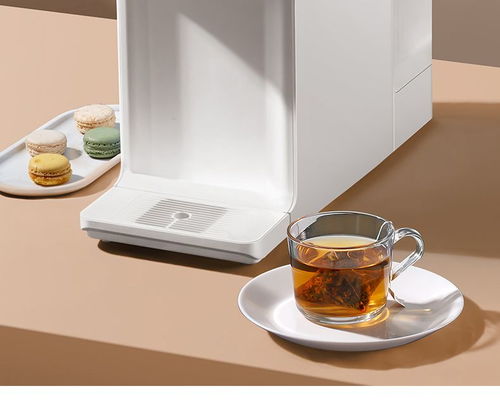 免安裝家用臺上式即熱式物聯(lián)網(wǎng)直飲凈飲冷熱一體反滲透凈水器純水機(jī)